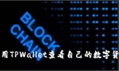 如何使用TPWallet查看自己的