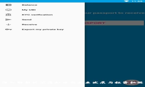 深入解析伏笔虚拟币的未来发展与投资机遇