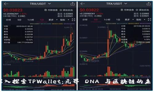 深入探索TPWallet：元界 DNA 与区块链的未来