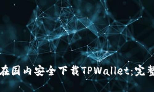 如何在国内安全下载TPWallet：完整指南
