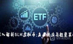深入解析BLM虚拟币：未来
