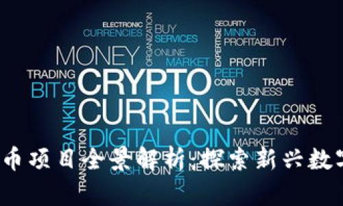 2023年虚拟币项目全景解析：探索新兴数字资产的未来