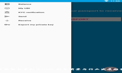 全面解析虚拟币CHZ：投资前景与行业发展趋势