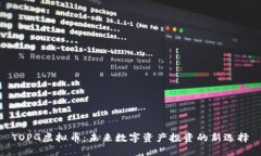 TOPG虚拟币：未来数字资产