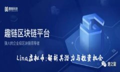 Lina虚拟币：解析其潜力与投资机会