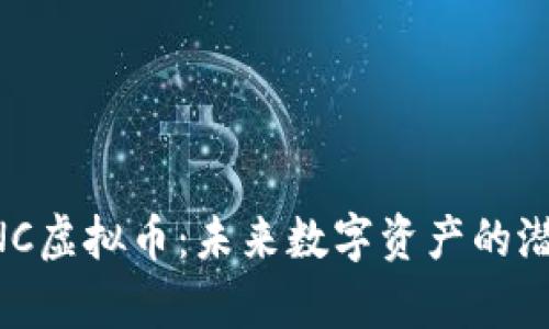 深入探讨SIONC虚拟币：未来数字资产的潜力与风险解析