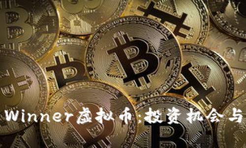 深入解析Winner虚拟币：投资机会与风险评估