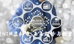 深入探讨NIM虚拟币：未来