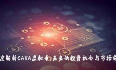 深度解析CAVA虚拟币：未来